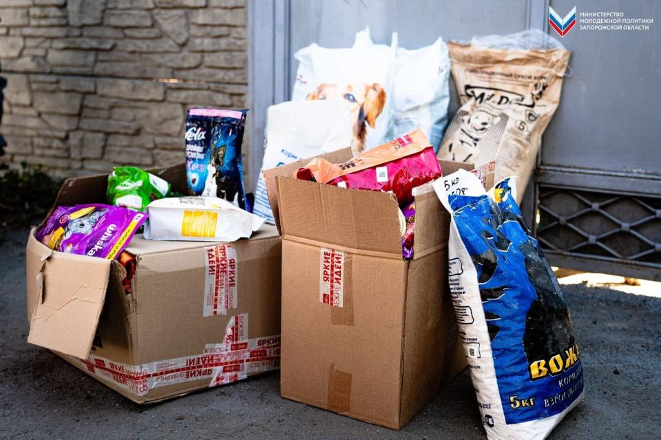 ����� ��������� ������ � �������: �������� ������������ ������ � ����� ��� ��������