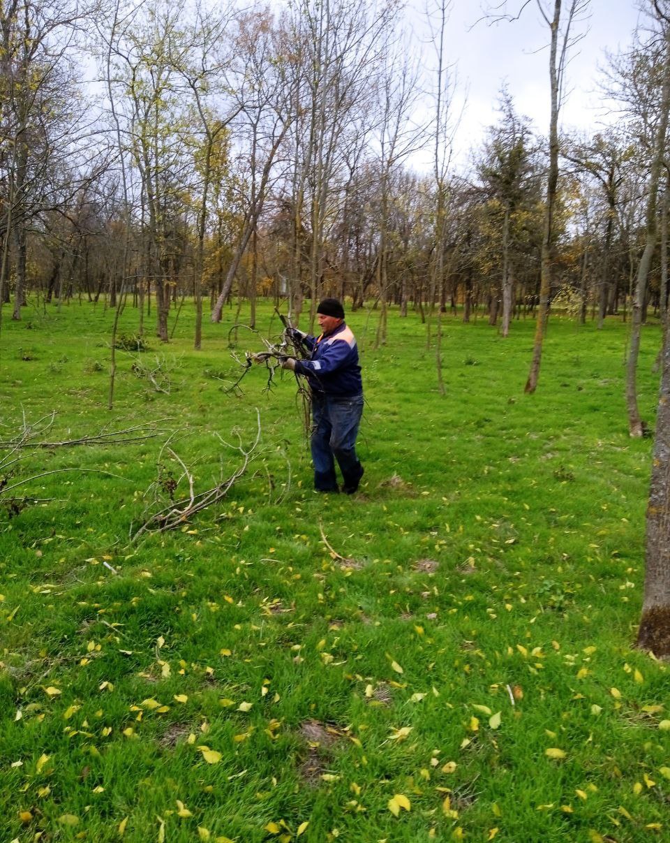 Сотрудники МБУ «Жилсервис» провели работы по благоустройству в селе Заречное