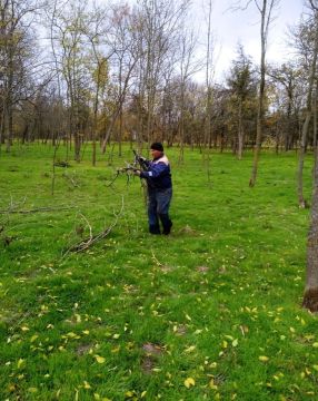 Сотрудники МБУ «Жилсервис» провели работы по благоустройству в селе Заречное