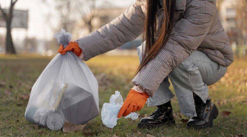 ��������� ������� 20 ������ ������ � ���� ���������� � ����������