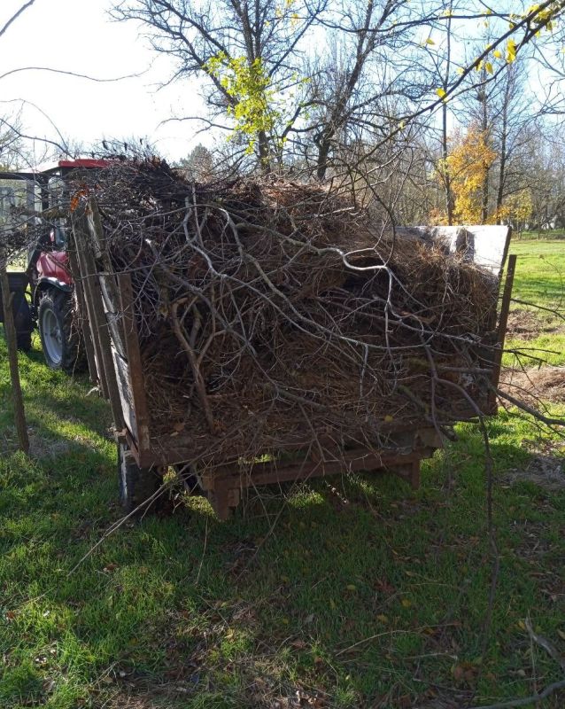 ���������� ��� ���������� ������� ������ �� ��������������� � ���� ��������