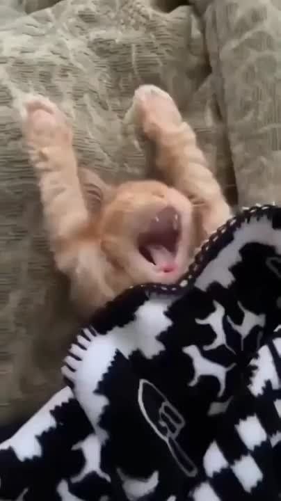 ������ ����!. ����� ����������