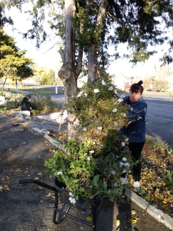 ���������� ��� "���������" ������ ������� ������ ������