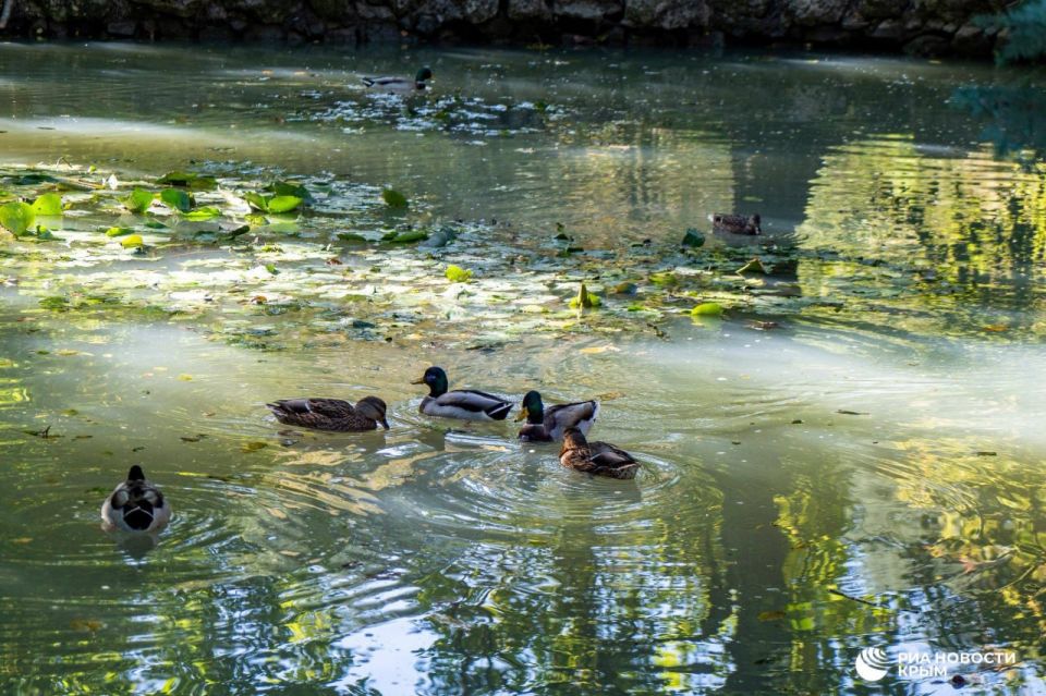 ������ �� ����� ����������� ������