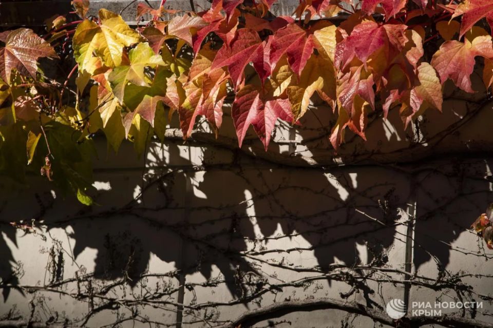 ������ �� ����� ����������� ������