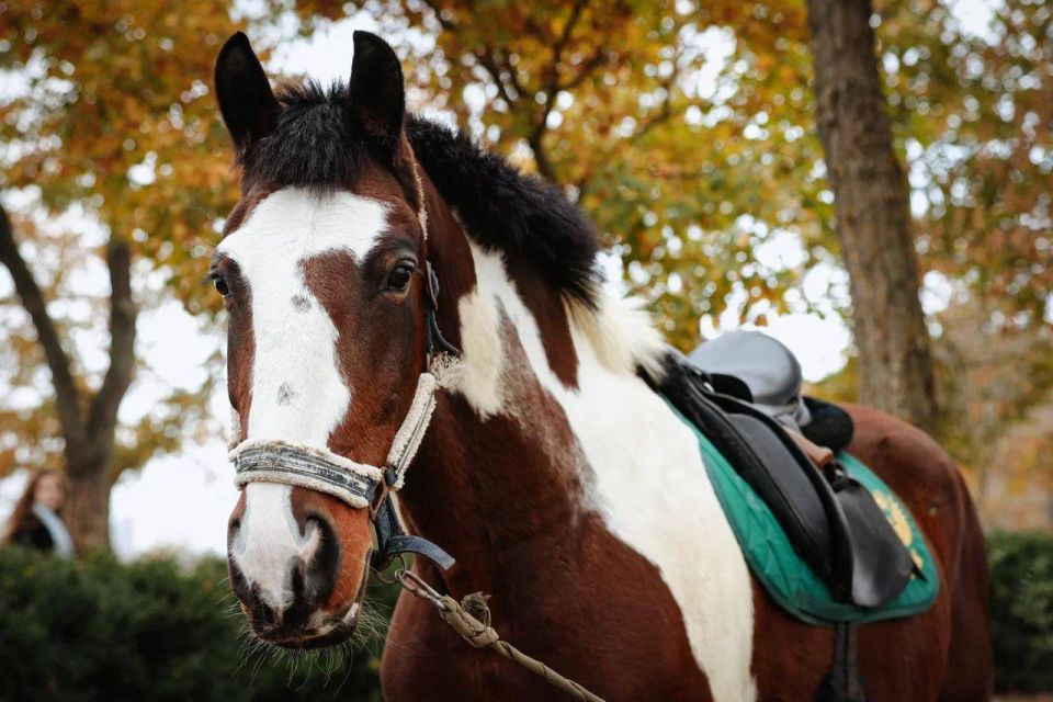 ������� ��������: ����� � ������ ������ ����� ������������ ������� ��������������� ���� ������ � ����������, ��� ������� ����� ������ �������� ����