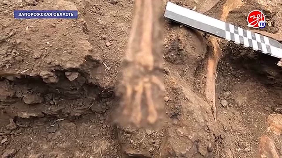 � ����������� ������� ����� ����� �������� ��������� ������, ����������� � ������� ������������� �����