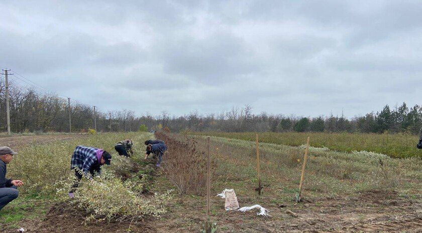 �������������� ������ �������� ����� �������� ��� ������� � ��������