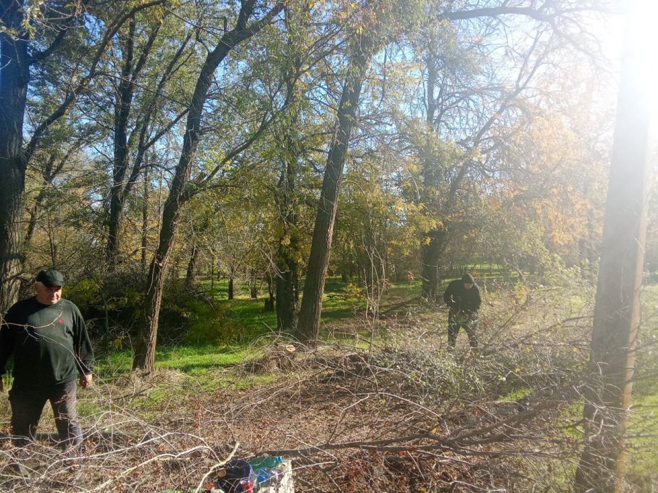 В лесопарке посёлка Трудовое продолжаются работы по наведению порядка, которые выполняют сотрудники МБУ «Жилсервис»