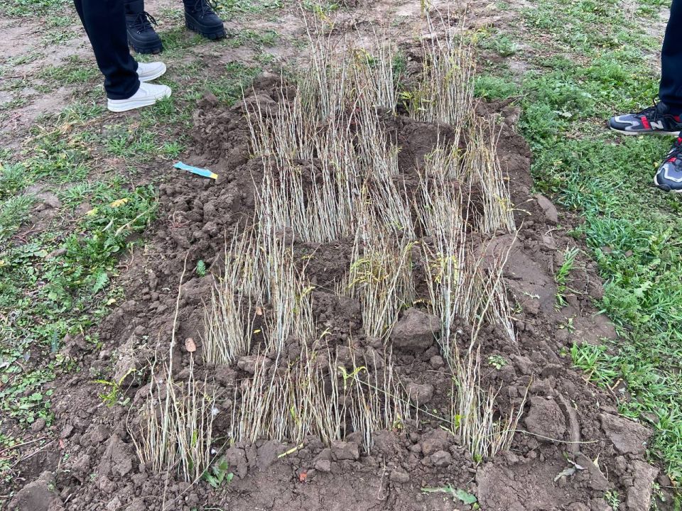 ��� �� ��������������� ������ ����������� ������� ������� ���������� � ��������������� ������ ������� ����������� �������