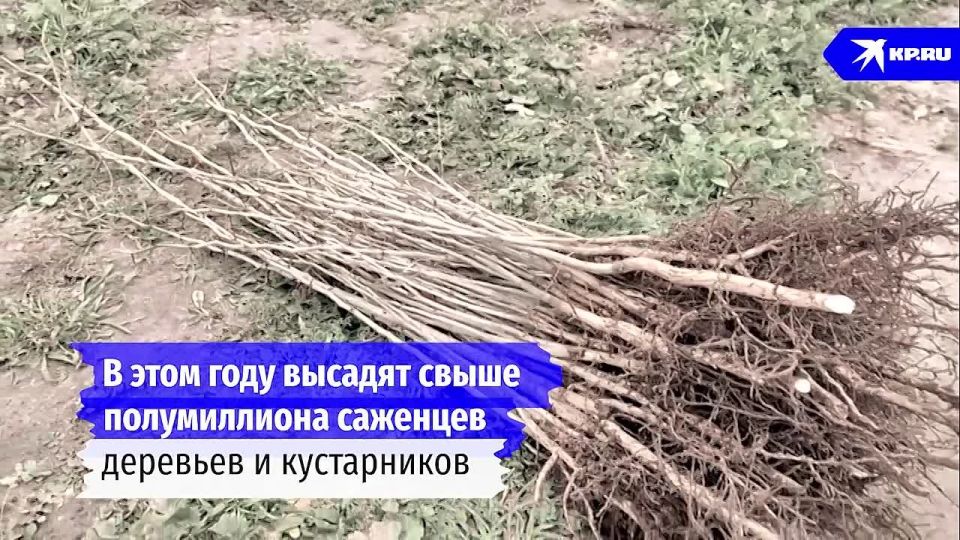 �������������� �����: ��� ����������� ������������� ������� ��� ������� �������