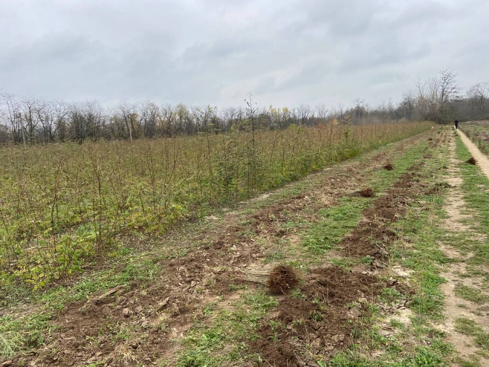 ��� �� ��������������� ������ ����������� ������� ������� ���������� � ��������������� ������ ������� ����������� �������