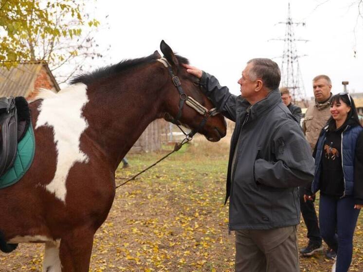 В Мелитополе появится современный центр иппотерапии и конного спорта