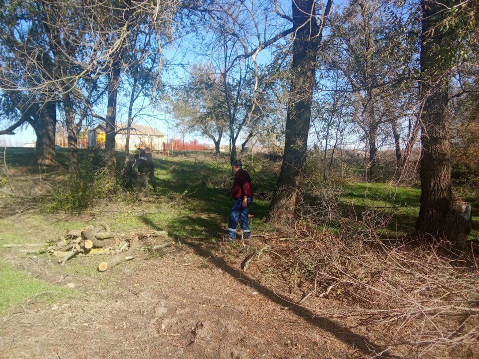 � ��������� ������ �������� ������������ ������ �� ��������� �������, ������� ��������� ���������� ��� ����������