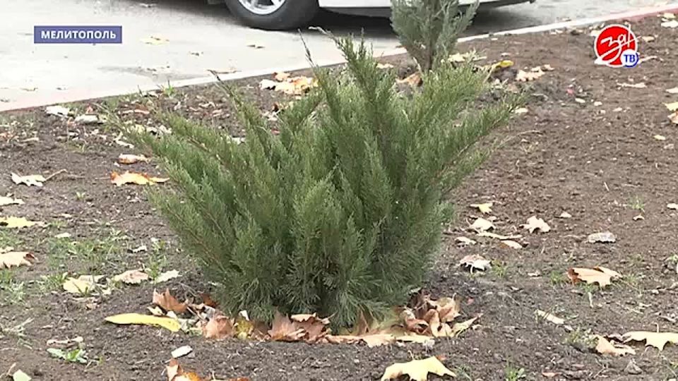 � ���������� ��������� ��� ���� ������ ���� ������