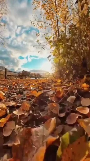 Доброго утра , дорогие Мелитопольцы!