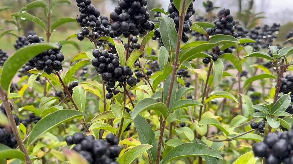 ������ ����! �� ������� ���������� � ������