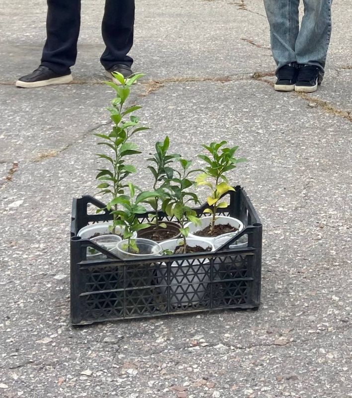 Юные герои леса: в Мелитополе готовят смену