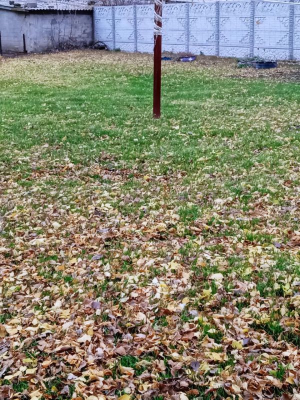 ���������� ��� "���������" ������� ������ �� ��������������� ���������� ������ ��������� � ������� �������� � ���� ������