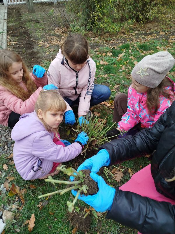 ������ ���������� ����������� ����� ������ ������ �� �������� ������ � ���������������