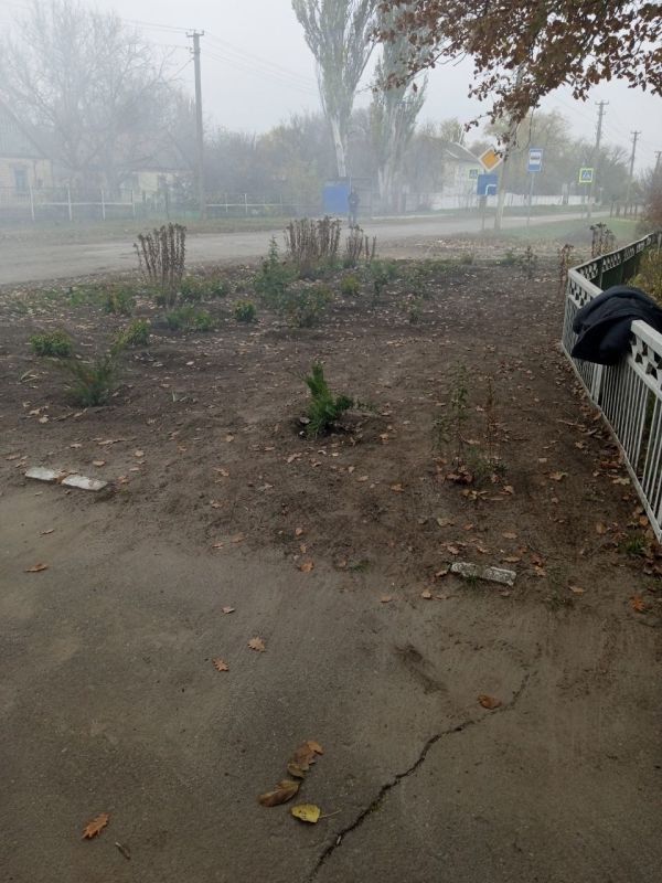 ���������� ��� "���������" ������� ������ �� ��������������� ���������� ������ ��������� � ������� �������� � ���� ������