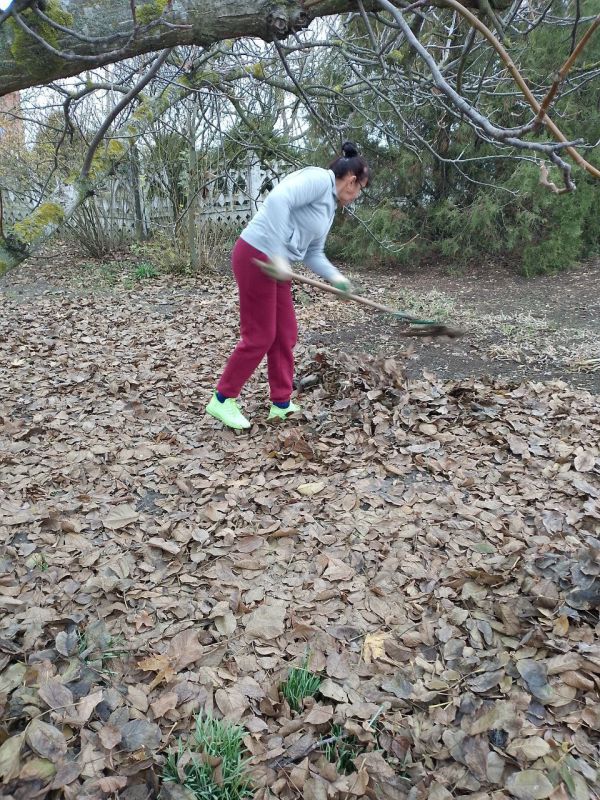 �������� ��������������� ������������