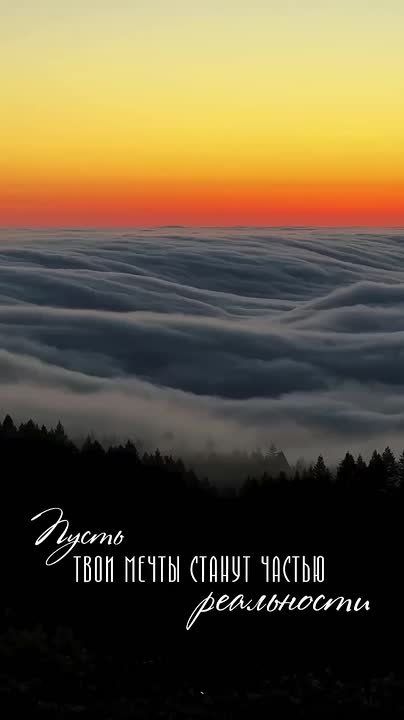 Доброй ночи! Завтра будет новый день и новые возможности!