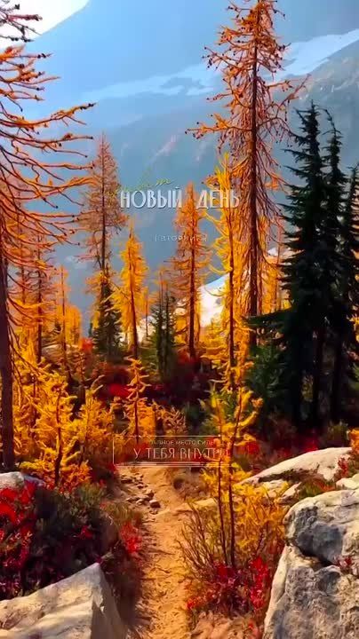 Доброго утра , дорогие Мелитопольцы!