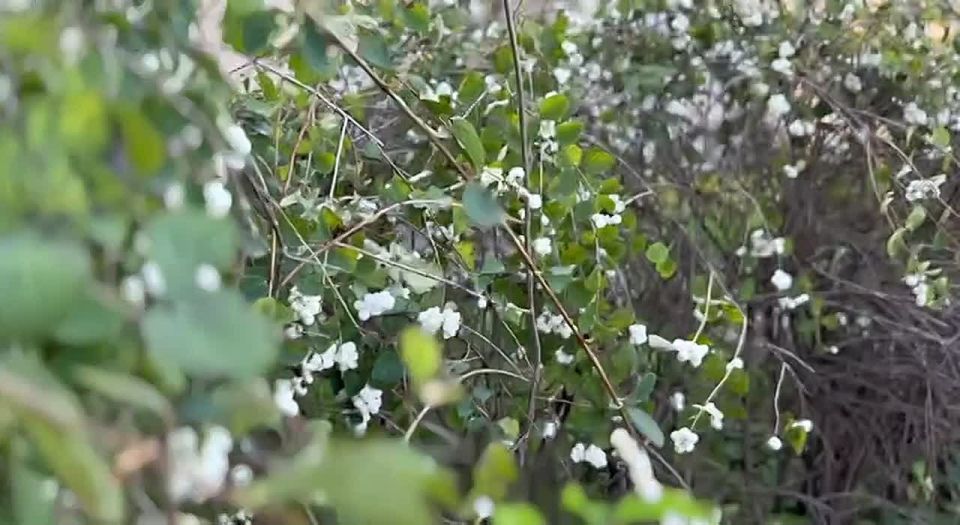 ������ ����!. ����� ��� ���� ����� ����� �� ������ � �������, ��� ����� ����� ��������������