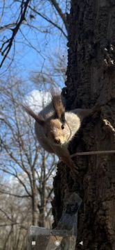       ,   ,        -   ,   ,    