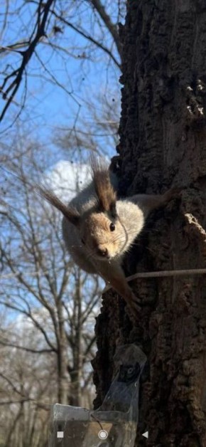       ,   ,        -   ,   ,    