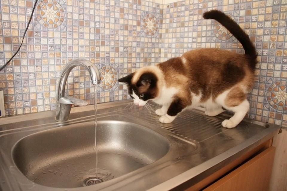 � ���������� �� ���� ���� ��������� ���� �� ����� ��������� �����, �������� � ��������� �������������