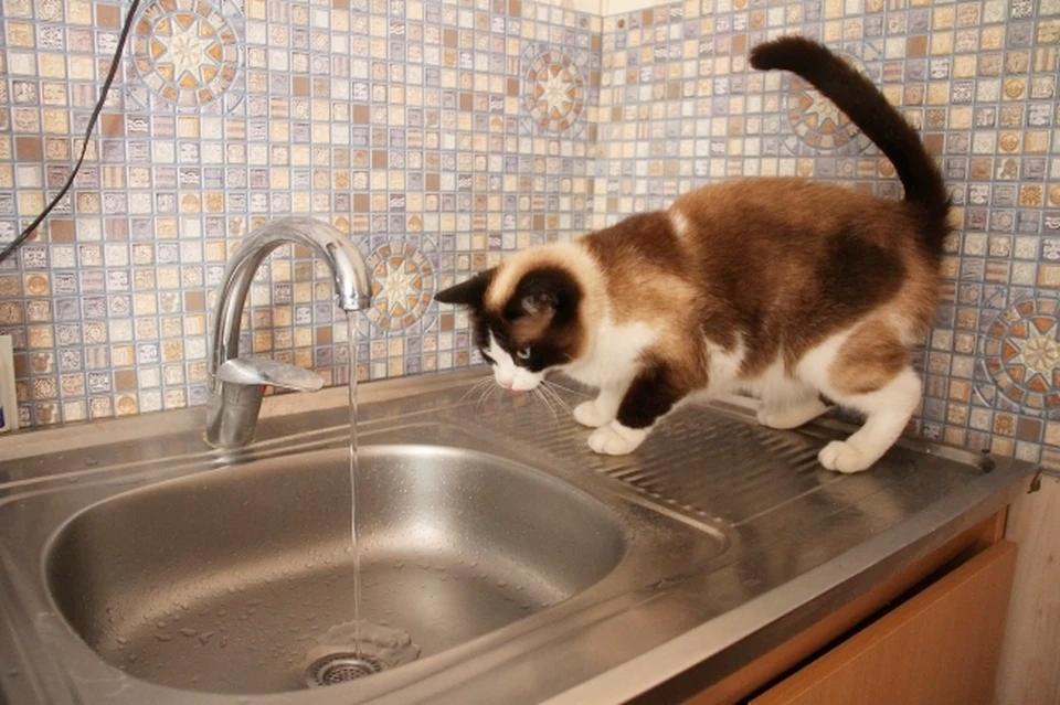 В Мелитополе на ряде улиц отключили воду на время ремонтных работ, сообщили в городской администрации