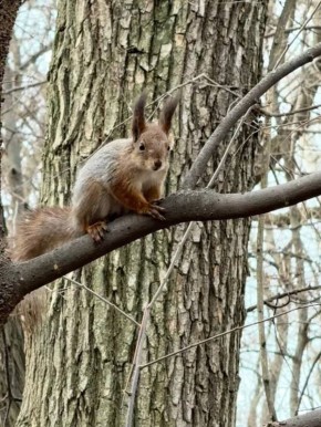 Если в среду пошел дождь — неделя будет удачной. Считается, что вода смывает негатив и приносит благополучие