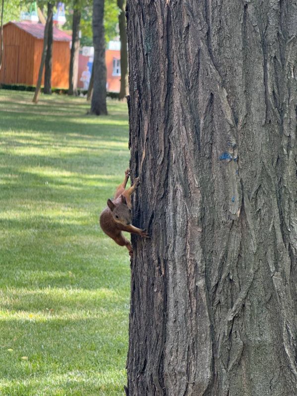 ���� � ����� ����� ����� � ������ ����� �������. ���������, ��� ���� ������� ������� � �������� ������������