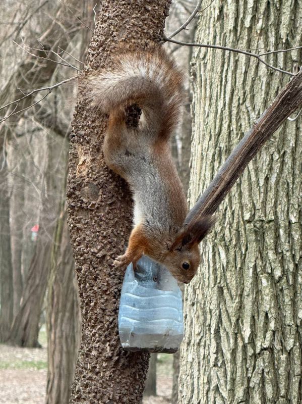 ���� � ����� ����� ����� � ������ ����� �������. ���������, ��� ���� ������� ������� � �������� ������������