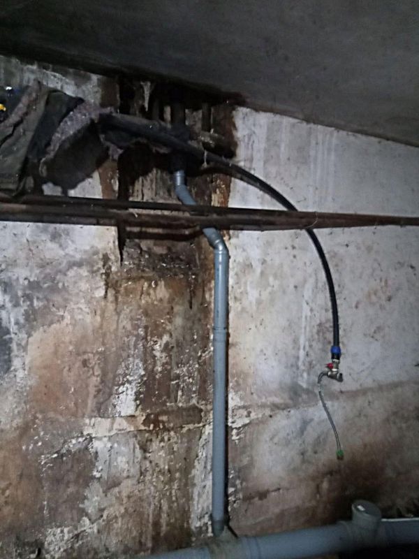 �������������� ��������������: ��������������� ���� �������� ����� ����������� � ������������ ���� ���� ��������������