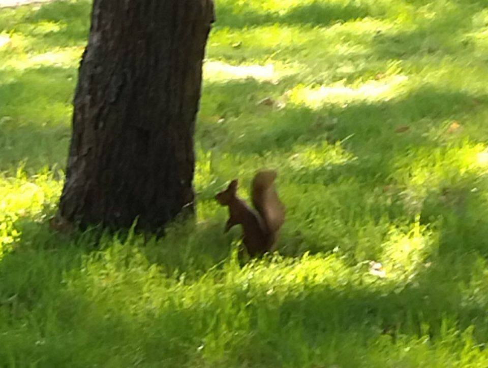 ������� � ������ � ����� ����� ������� �� ������ ��������� ��� ����� ���������� ������� ������� ���� � � ������� ������ ������ � � �������� � ����� �����