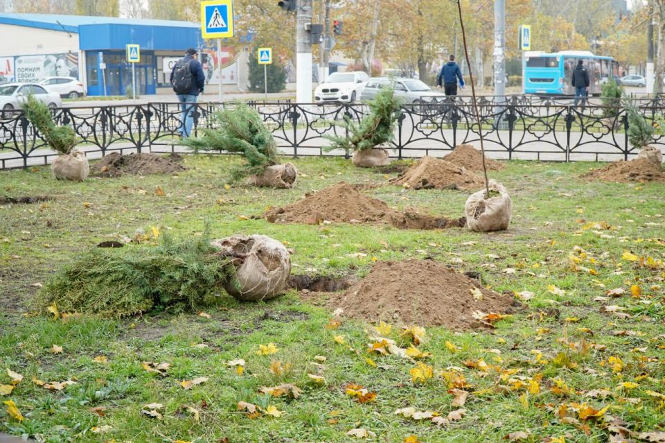 ������ ��������: ������� �������� ������ �� ����������