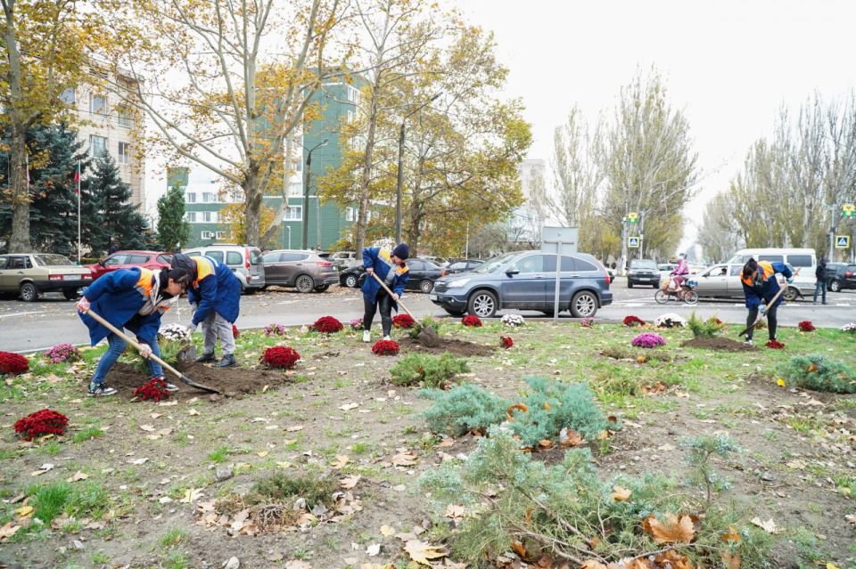 ������ ��������: ������� �������� ������ �� ����������