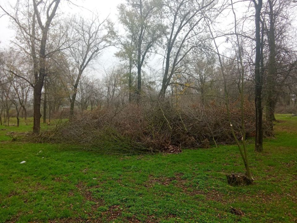 ������������ ��������������� �������� ���� � ������� ��������