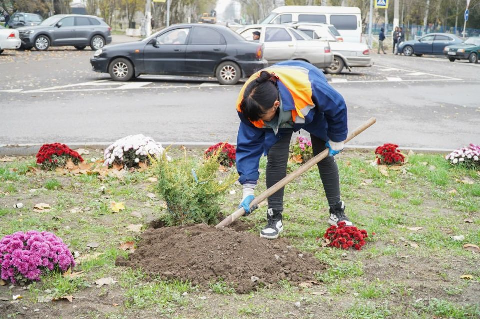 ������ ��������: ������� �������� ������ �� ����������