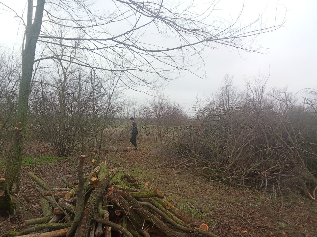Продолжается благоустройство парковой зоны в поселке Трудовое Продолжается благоустройство парковой зоны в поселке Трудовое