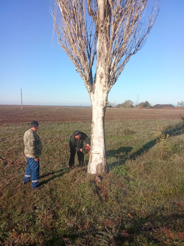 ������������ ��������������� �������� ���� � ������� ��������