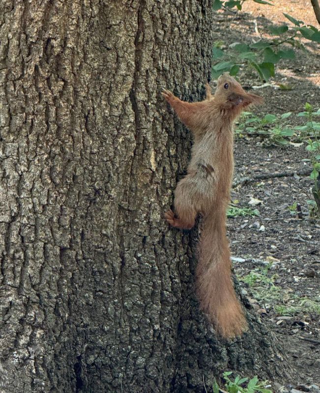 ������� � ������ � ����� ����� ������� �� ������ ��������� ��� ����� ���������� ������� ������� ���� � � ������� ������ ������ � � �������� � ����� �����