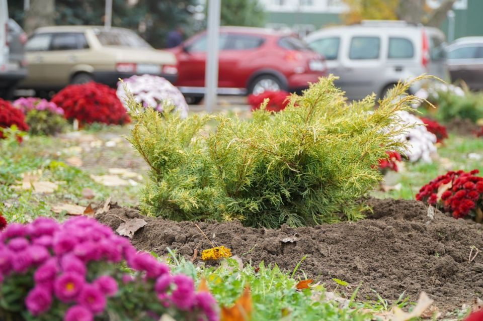 ������ ��������: ������� �������� ������ �� ����������