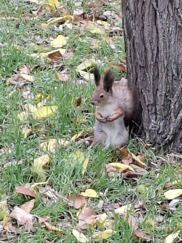 ������� � ������ � ����� ����� ������� �� ������ ��������� ��� ����� ���������� ������� ������� ���� � � ������� ������ ������ � � �������� � ����� �����