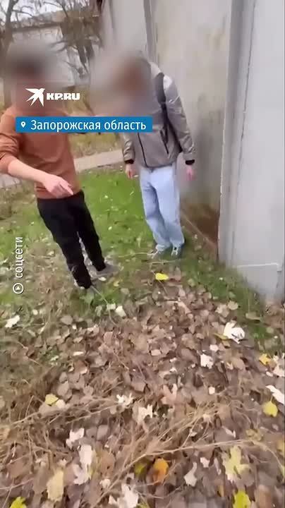 ��������� ���� ��� ������ �������� ���� �� �������� ��������� � ����������