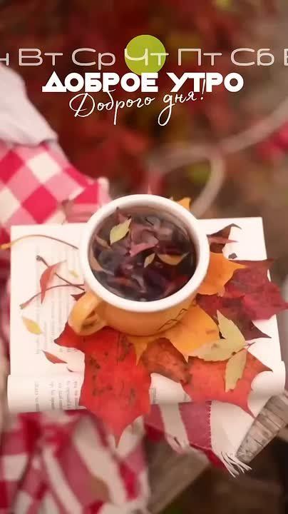 Доброго утра , дорогие Мелитопольцы!