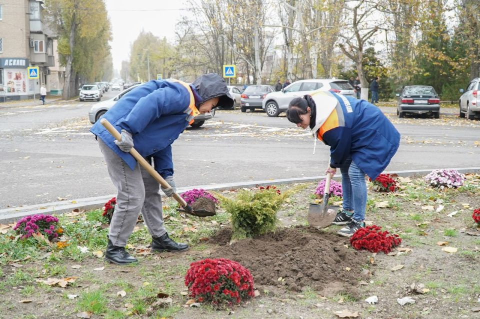 ������ ��������: ������� �������� ������ �� ����������